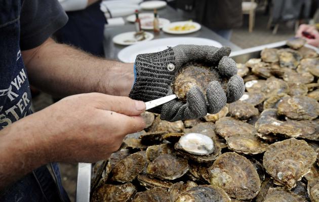 Native oysters being opened at Stranraer Oyster Festival 2022