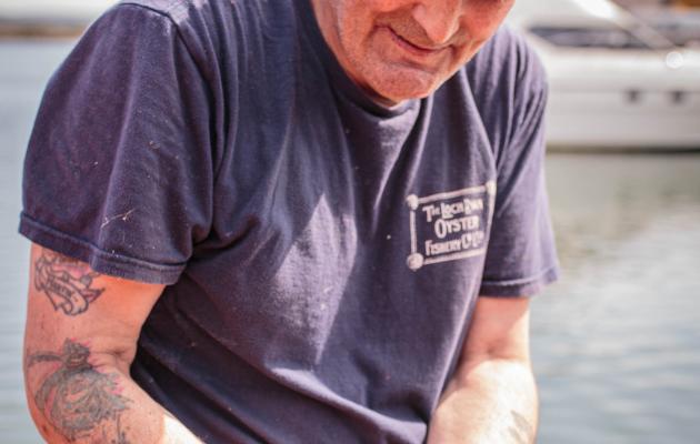 Oyster fisherman with native oysters