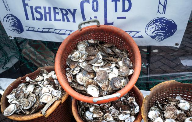 A basket containing empty oyster shells 