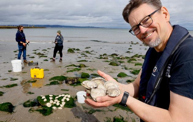 Prof Bill Sanderson with native osyters 