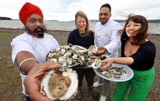 Chefs enjoy native oysters 