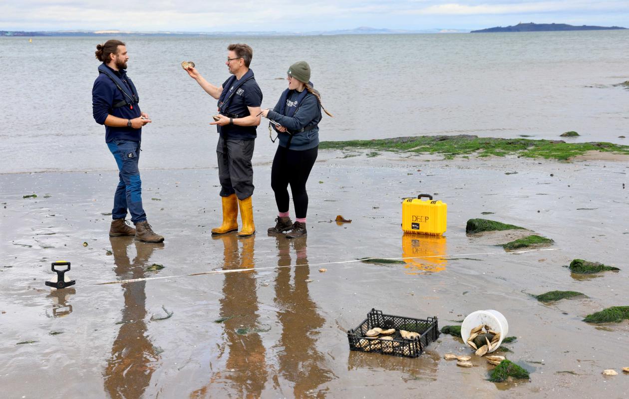 Oyster researchers standing on a beach