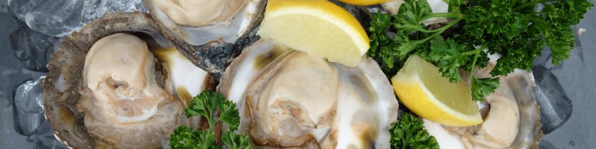 Loch Ryan Oysters