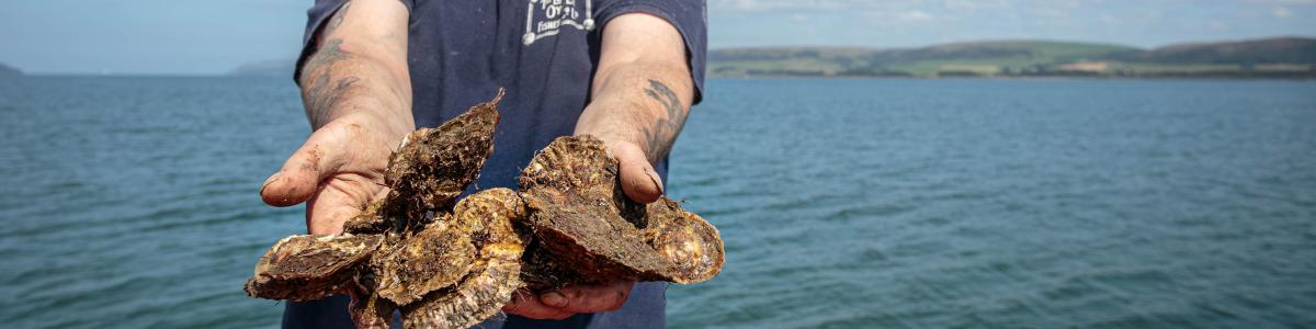 John Mills with native oysters
