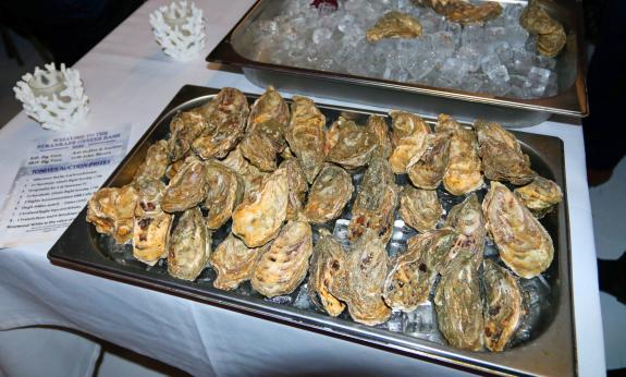 Oysters at the Big Bash 2023