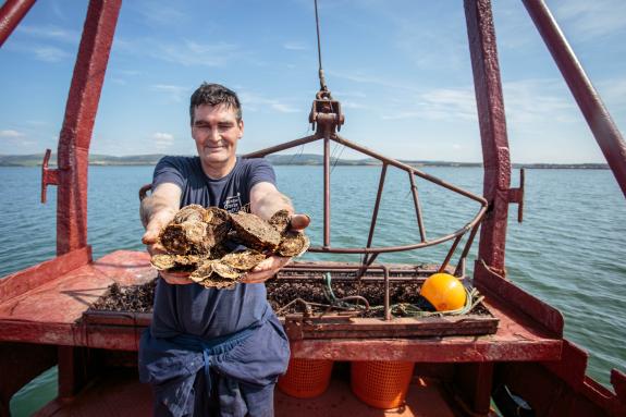 Native oysters on the Vital Spark