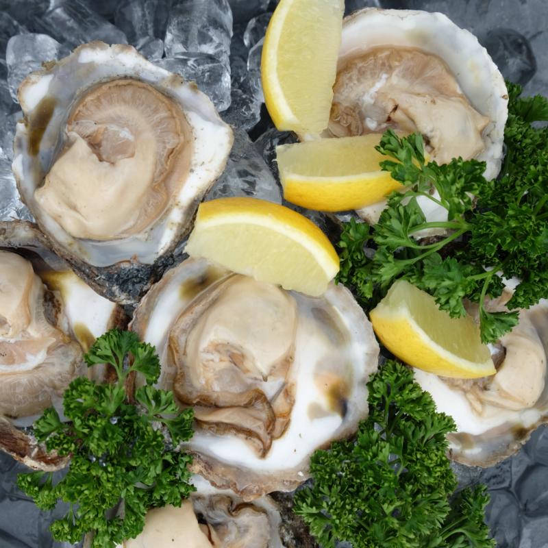 Oyster History Stranraer Oyster Festival