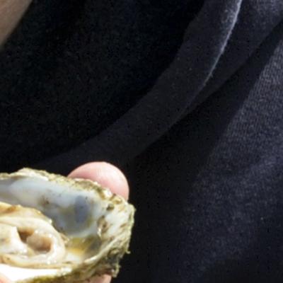 Stranraer Oyster Festival team with Loch Ryan native oysters