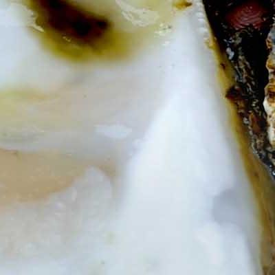 loch ryan oysters